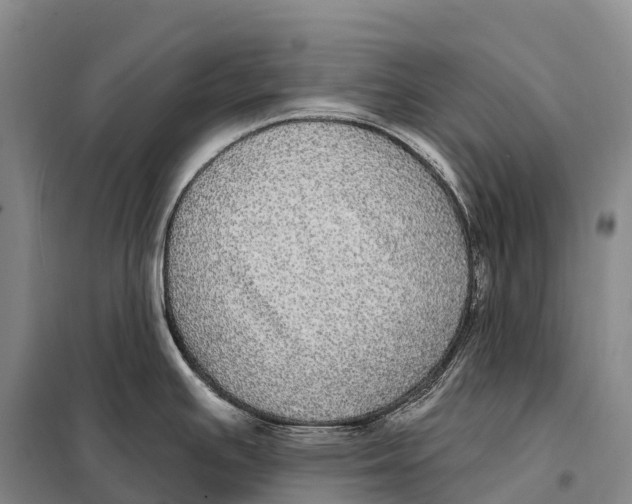 X0000098011391200804251104