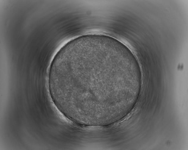 X0000098011392200804251104