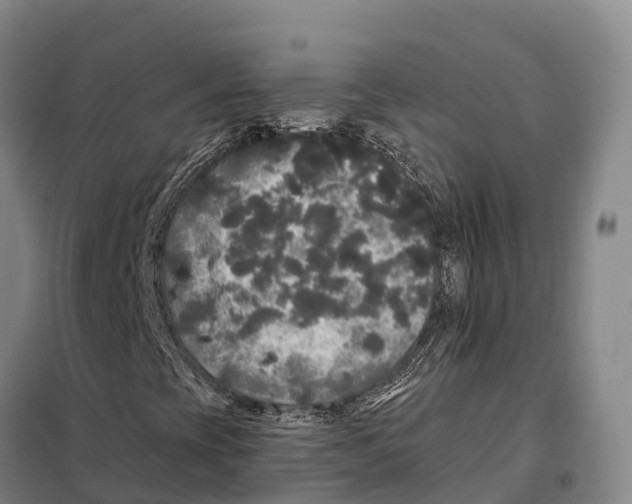 X0000098011393200804251103