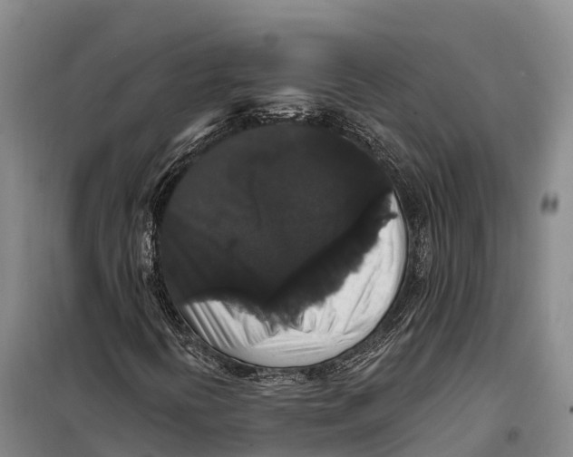 X0000098011394200804251103