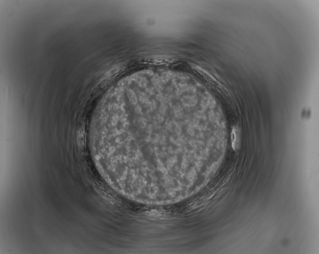 X0000098011395200804251103