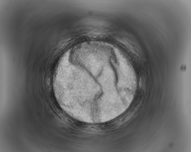 X0000098011396200804251103