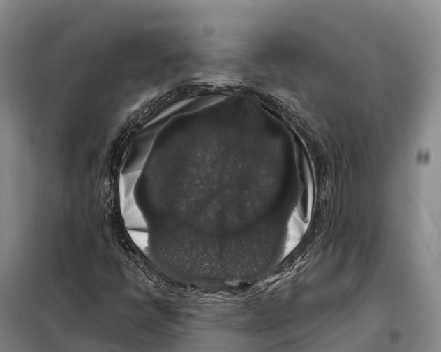 X0000098011398200804251104