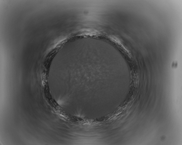 X0000098011399200804251104