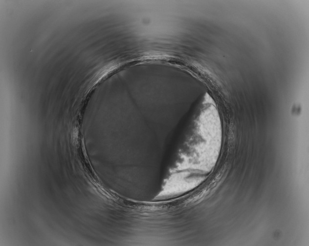 X0000098011401200804251104