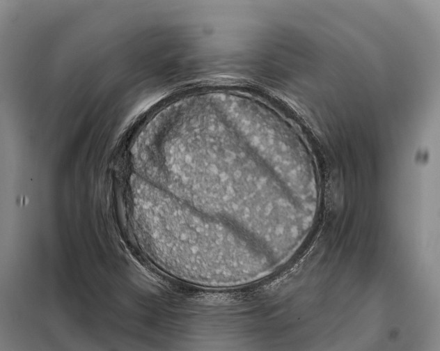 X0000098011402200804251104