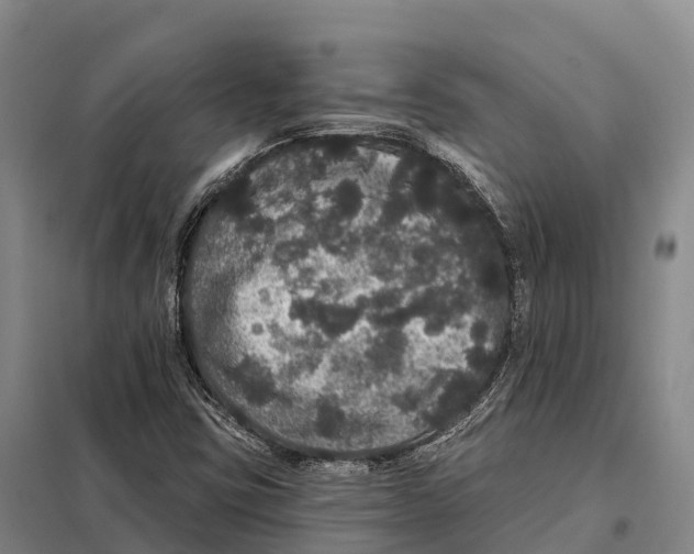 X0000098011403200804251104