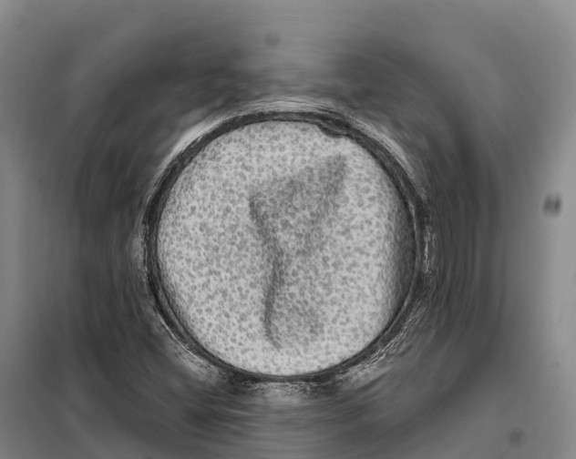 X0000098011404200804251104