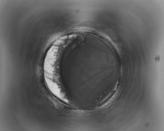 X0000098011405200804251104