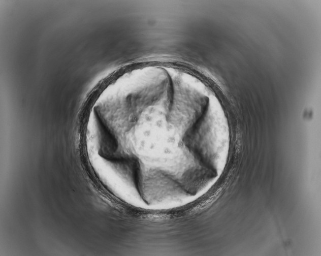 X0000098011406200804251104