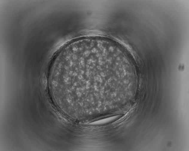 X0000098011407200804251104