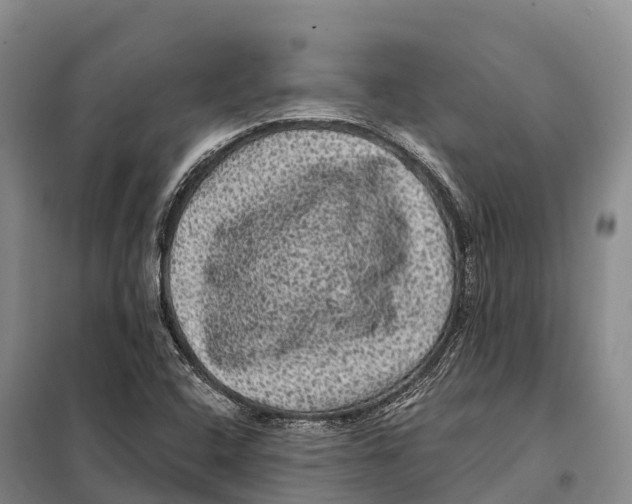 X0000098011408200804251104