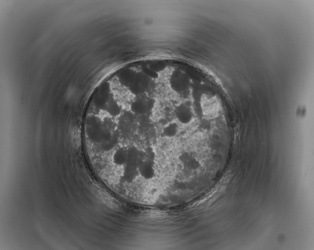 X0000098011409200804251104