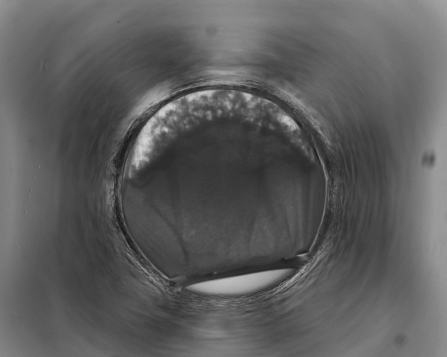 X0000098011411200804251104