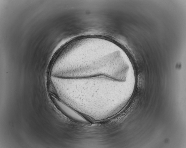 X0000098011412200804251104