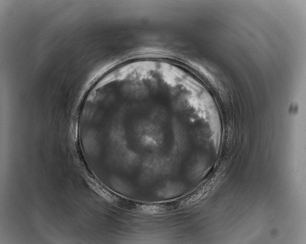 X0000098011413200804251104