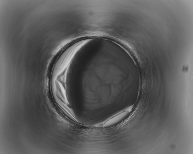 X0000098011414200804251104