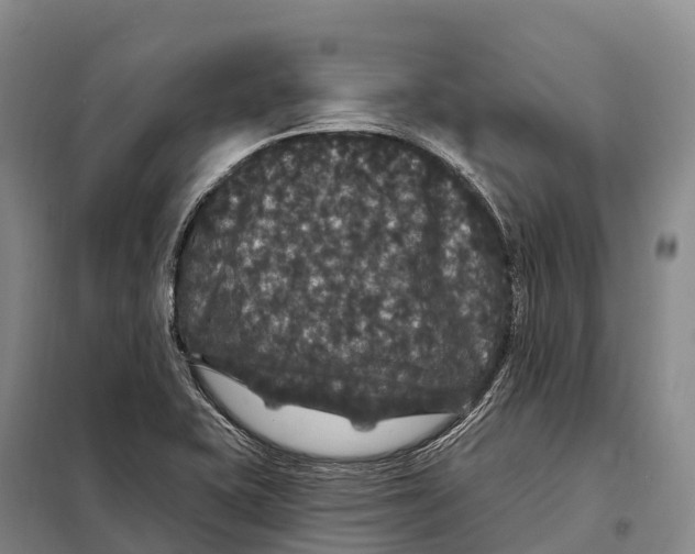 X0000098011415200804251104