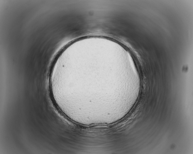 X0000098011416200804251104