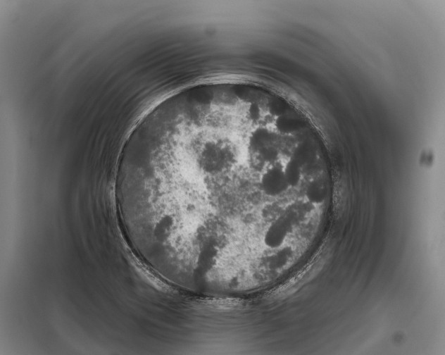 X0000098011417200804251104