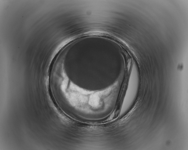 X0000098011418200804251104