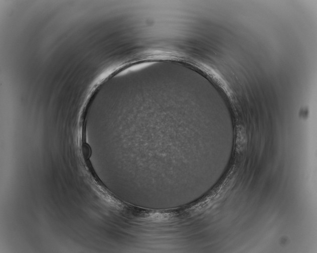 X0000098011419200804251104