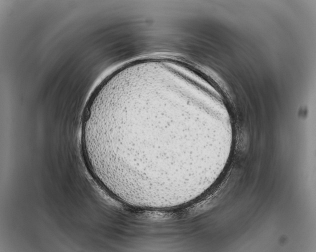 X0000098011420200804251104