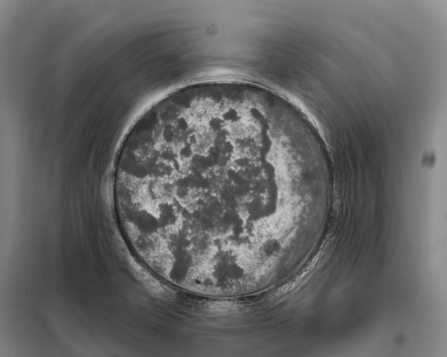 X0000098011421200804251104