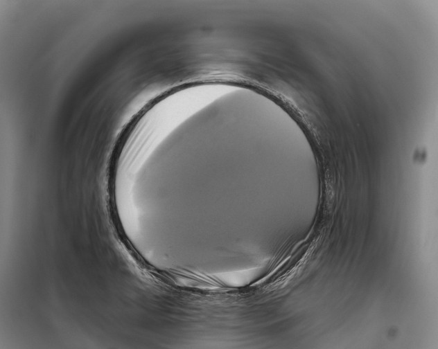 X0000098011422200804251104