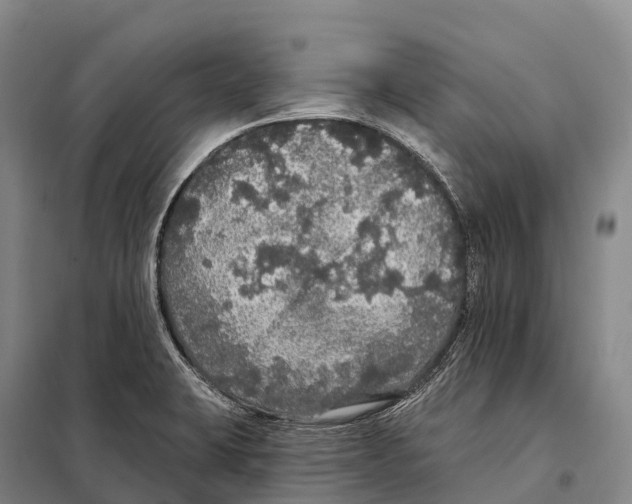 X0000098011423200804251104