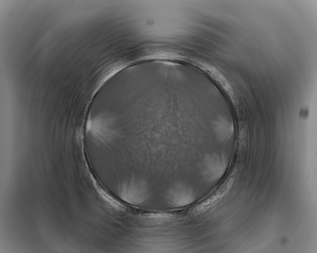 X0000098011425200804251104