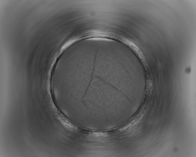 X0000098011427200804251104