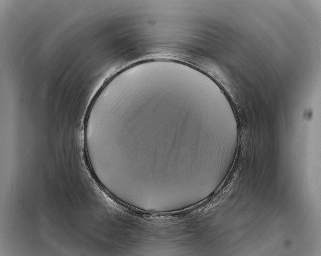 X0000098011428200804251104