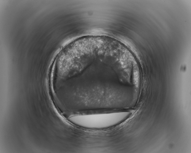 X0000098011429200804251104