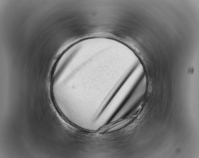 X0000098011430200804251104