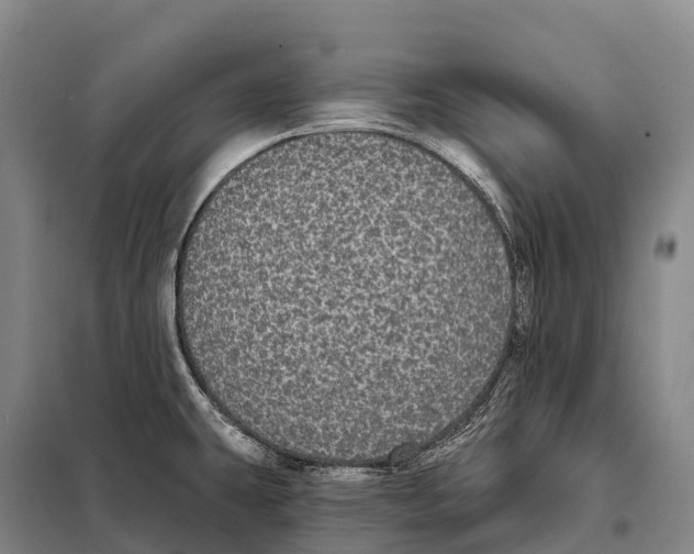 X0000098011431200804251104