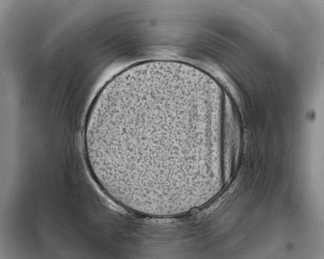 X0000098011432200804251104