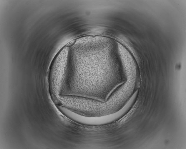 X0000098011434200804251104