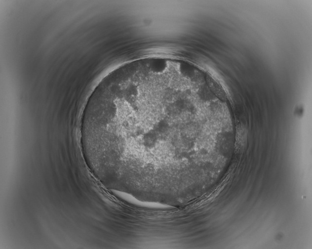 X0000098011435200804251104