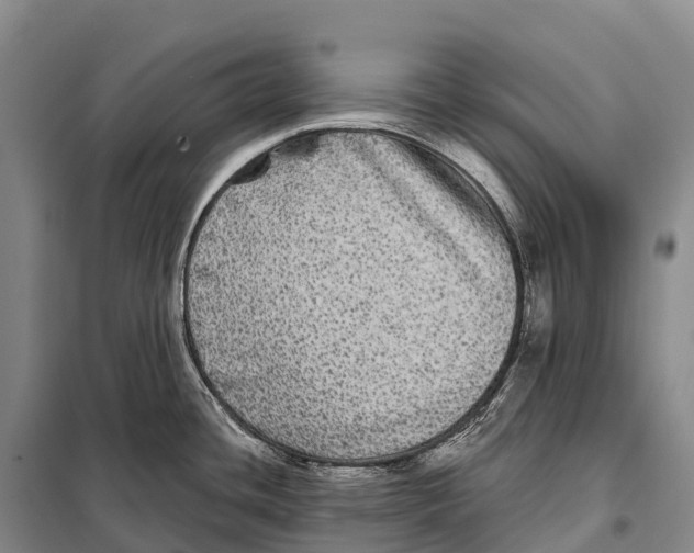 X0000098011436200804251104