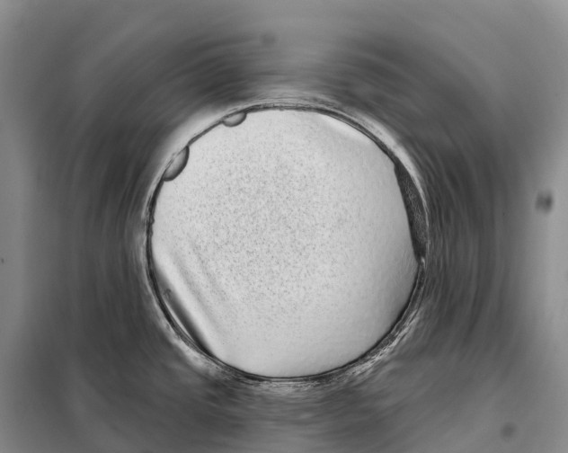 X0000098011437200804251104