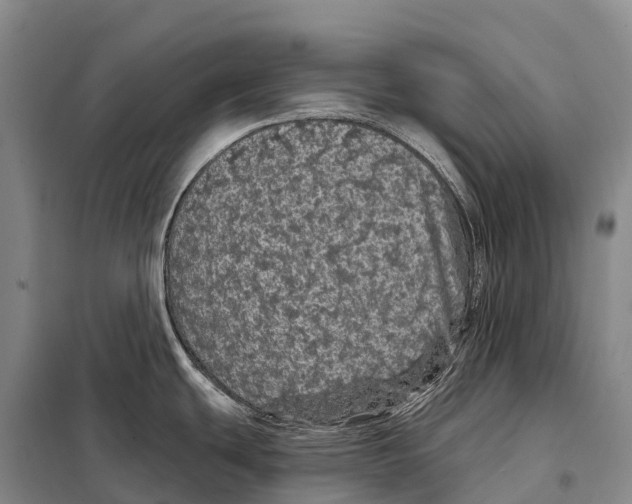 X0000098011439200804251104