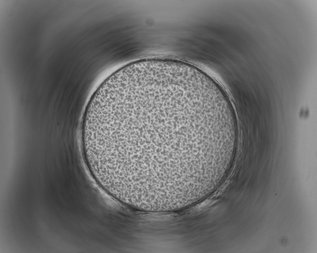 X0000098011440200804251104