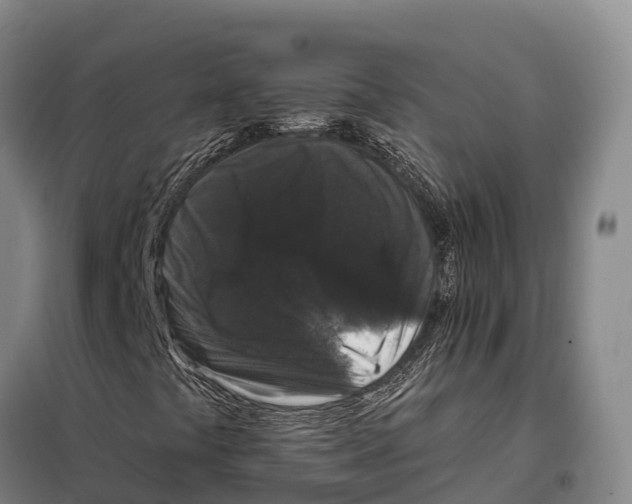 X0000098011441200804251103