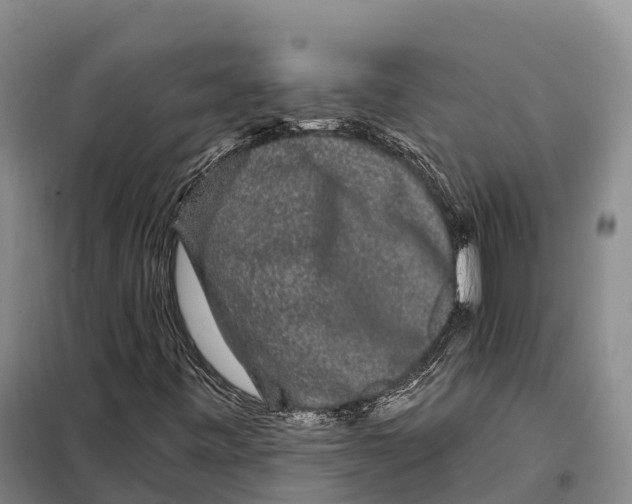 X0000098011443200804251103