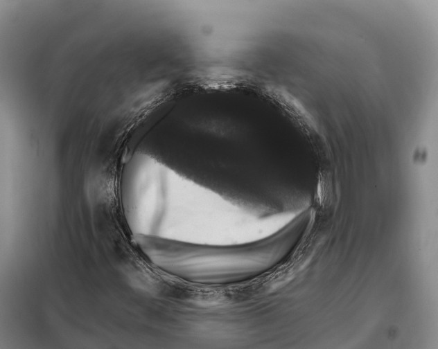 X0000098011444200804251103