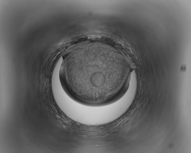 X0000098011445200804251103