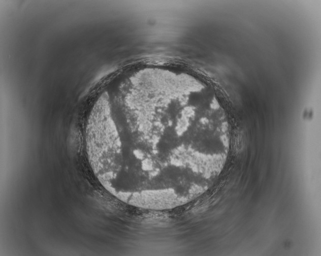 X0000098011446200804251103