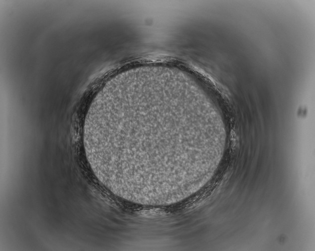 X0000098011447200804251103