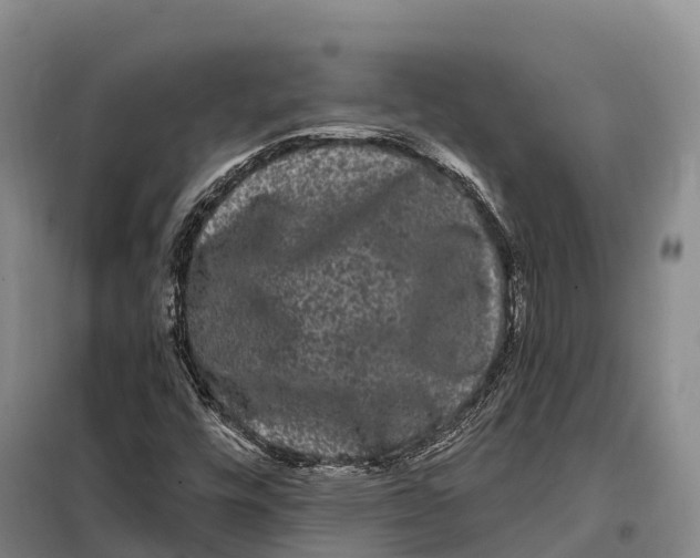 X0000098011448200804251103